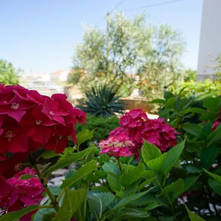 Kapovic Appartement *