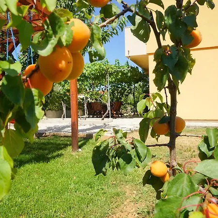 Appartement Kapovic